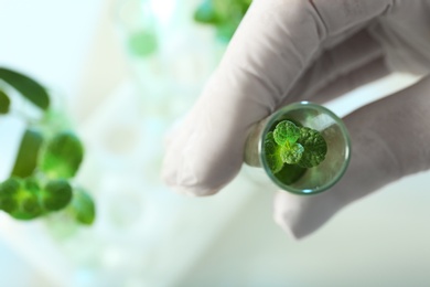 Photo of Lab assistant holding green plant in tube on blurred background, closeup with space for text. Biological chemistry