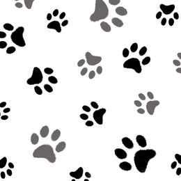 Dog paw prints on white background, pattern