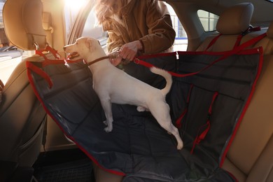 Woman fastening her cute Jack Russel Terrier dog with safety belt in bag carrier inside car. Pet accessory