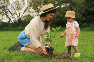 Mother and her baby daughter planting tree together in garden