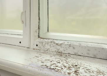 Sill and window affected with mold in room