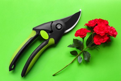 Photo of Secateur and beautiful red roses on green background, flat lay