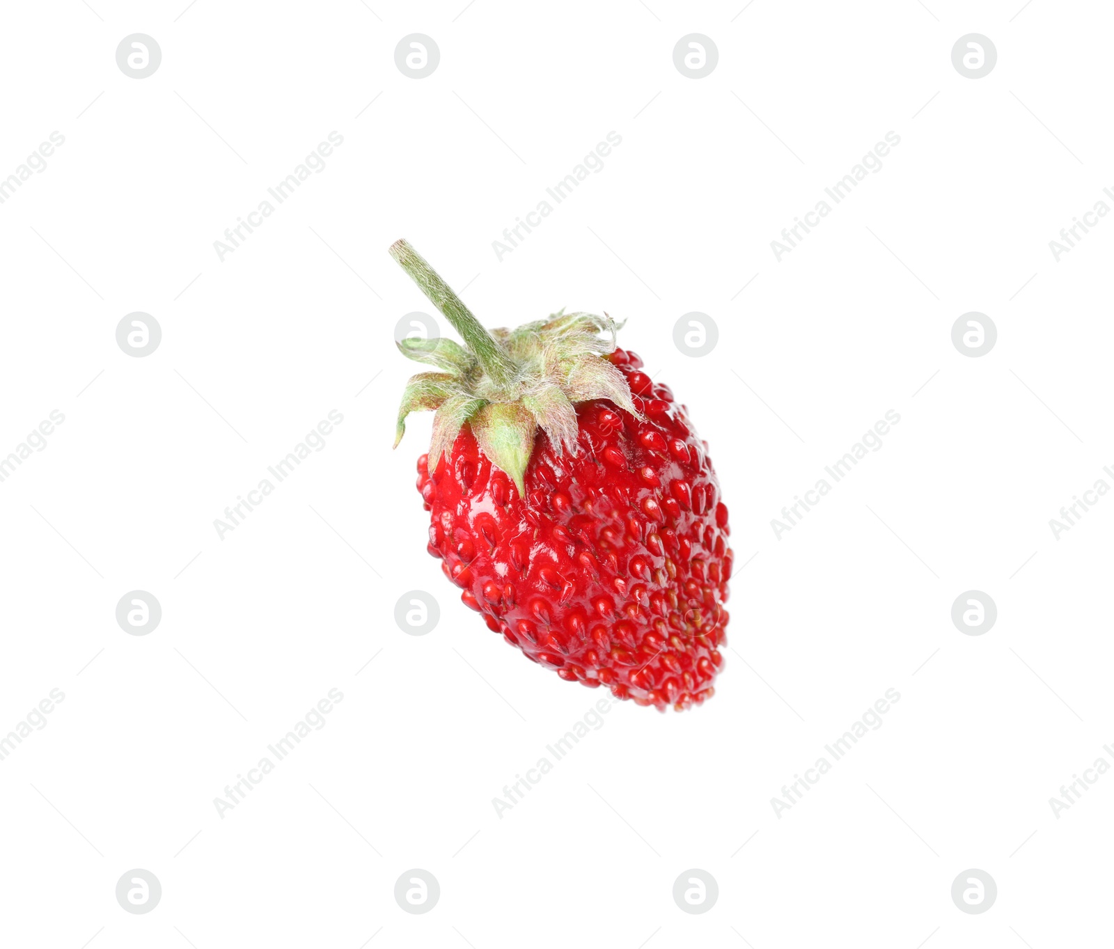 Photo of One ripe wild strawberry isolated on white