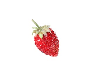 One ripe wild strawberry isolated on white