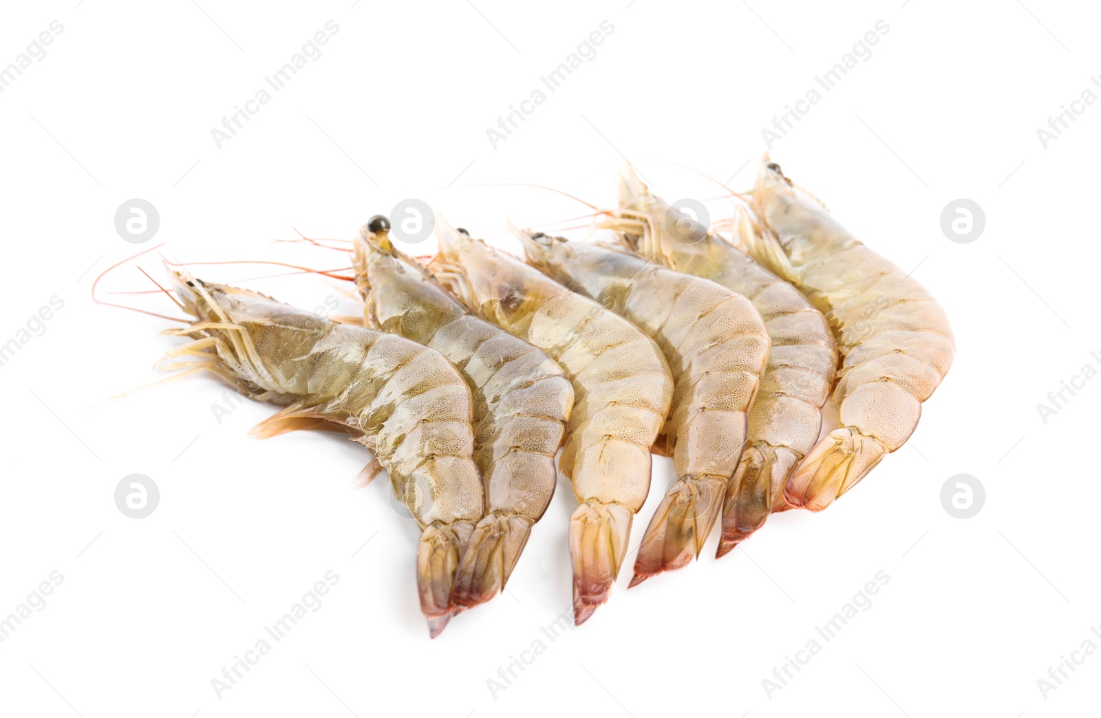 Photo of Fresh raw shrimps isolated on white. Healthy seafood