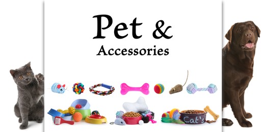 Image of Advertising banner design for pet shop. Cute dog, cat and different accessories on white background