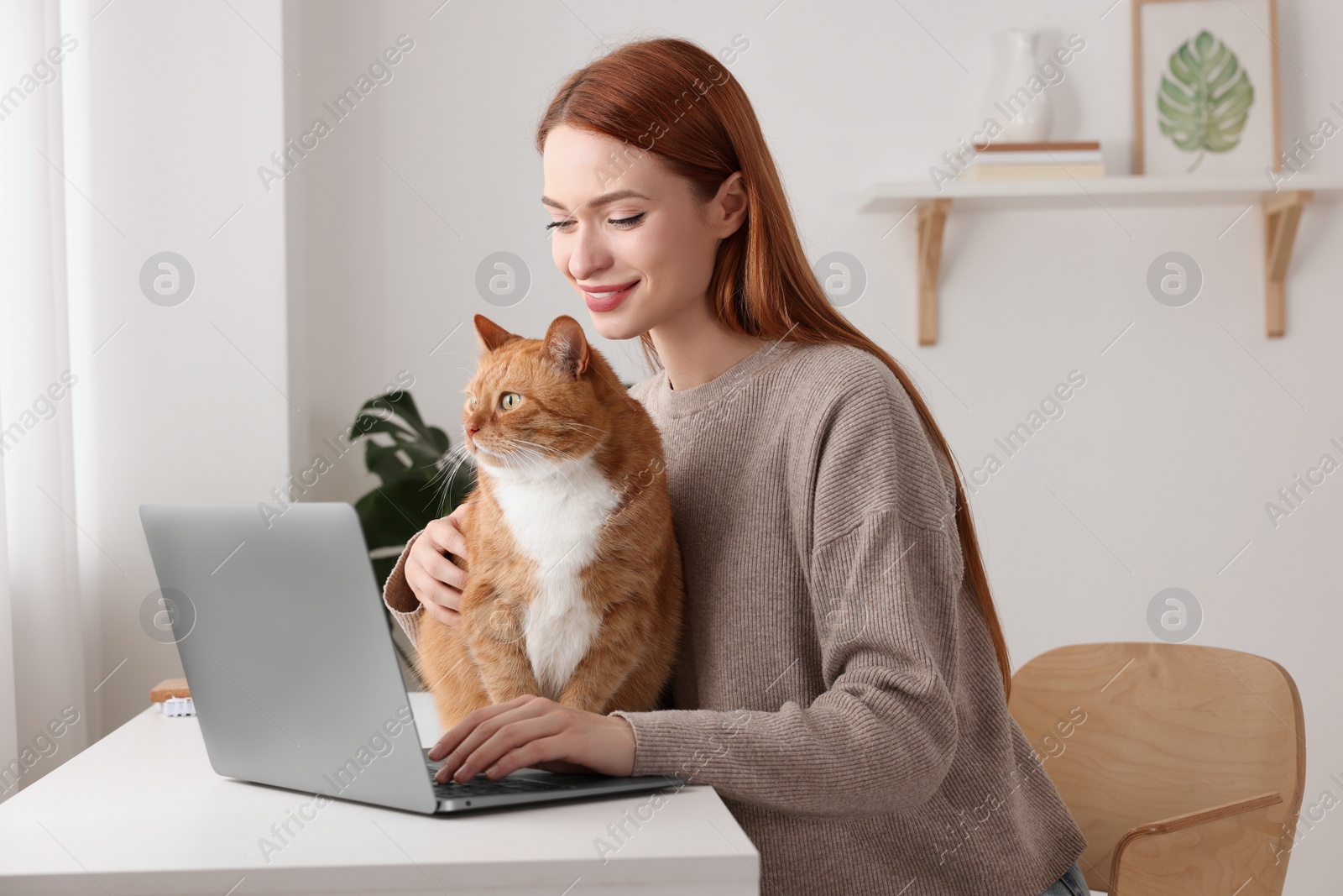 Photo of Woman working with laptop and hugging cat at desk. Home office