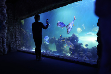 Photo of Woman taking photo of fish in oceanarium