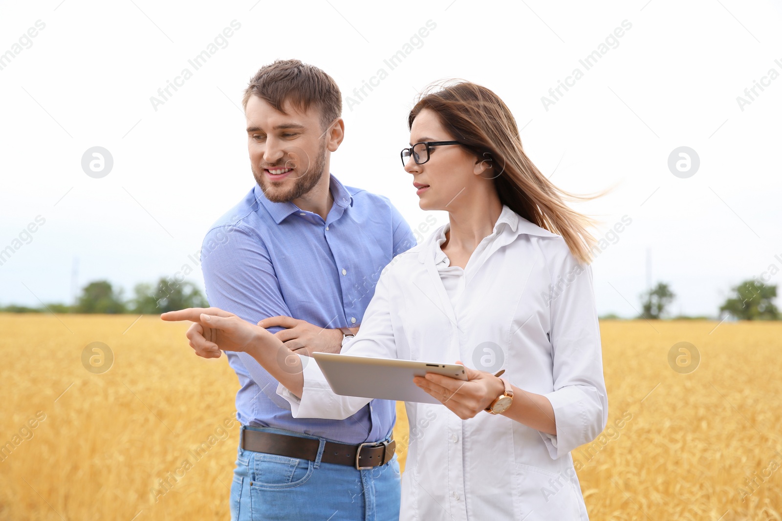 Photo of Young agronomists in grain field. Cereal farming