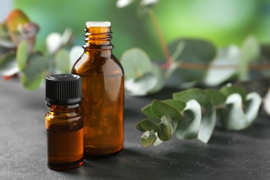 Photo of Bottles of eucalyptus essential oil and plant branches on grey table, space for text