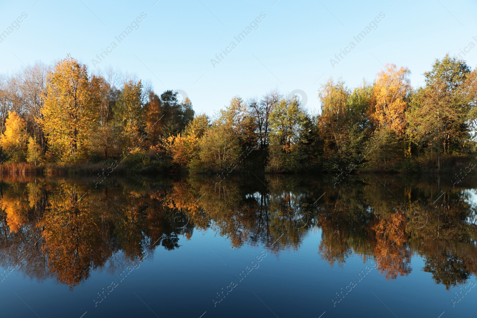 Photo of Picturesque view of lake and trees on autumn day