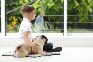 Boy with his cute pug near window indoors. Space for text