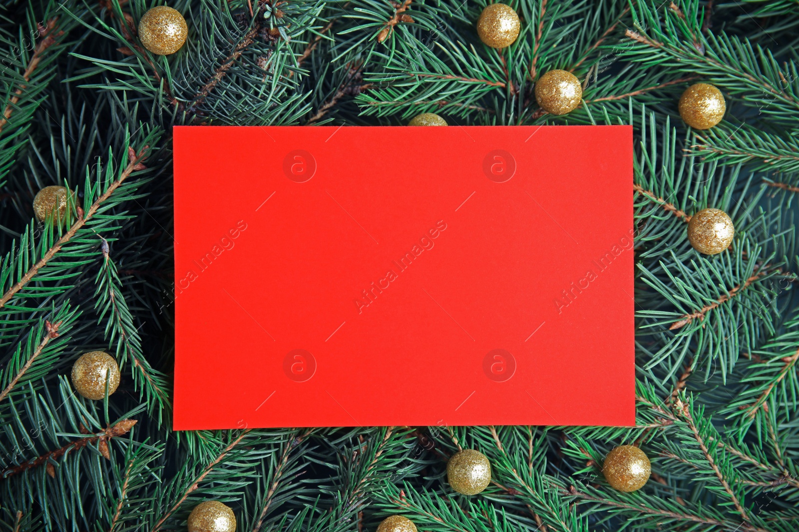 Photo of Blank card on Christmas tree branches as background, top view. Space for text