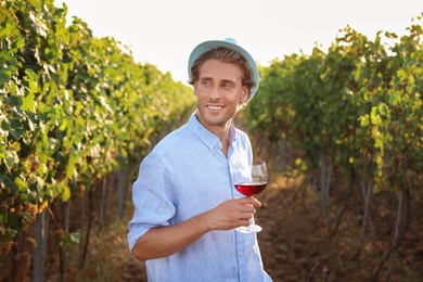 Young handsome man with glass of wine at vineyard on sunny day