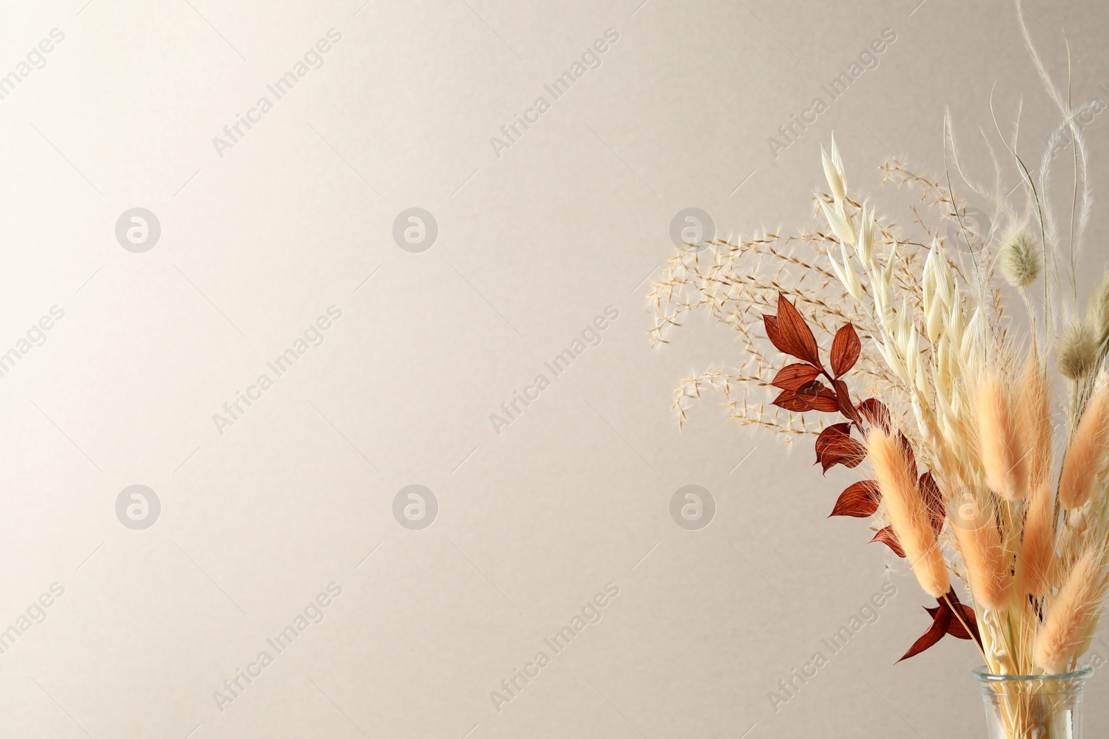 Photo of Dried flowers in vase against light background. Space for text