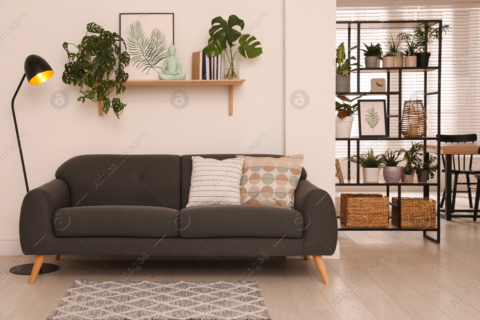 Photo of Modern living room interior with comfortable sofa and beautiful plants