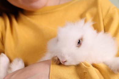 Photo of Woman with cute fluffy white pet rabbit indoors, closeup