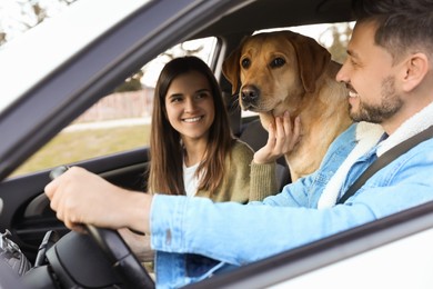 Photo of Happy couple and dog in car. Traveling with pet