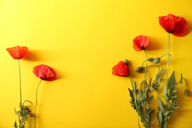 Photo of Beautiful red poppy flowers on yellow background, flat lay