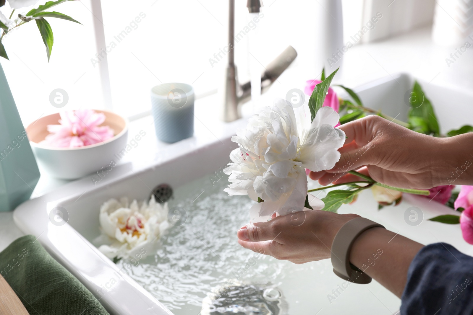 Photo of Woman with beautiful peony near kitchen sink, closeup