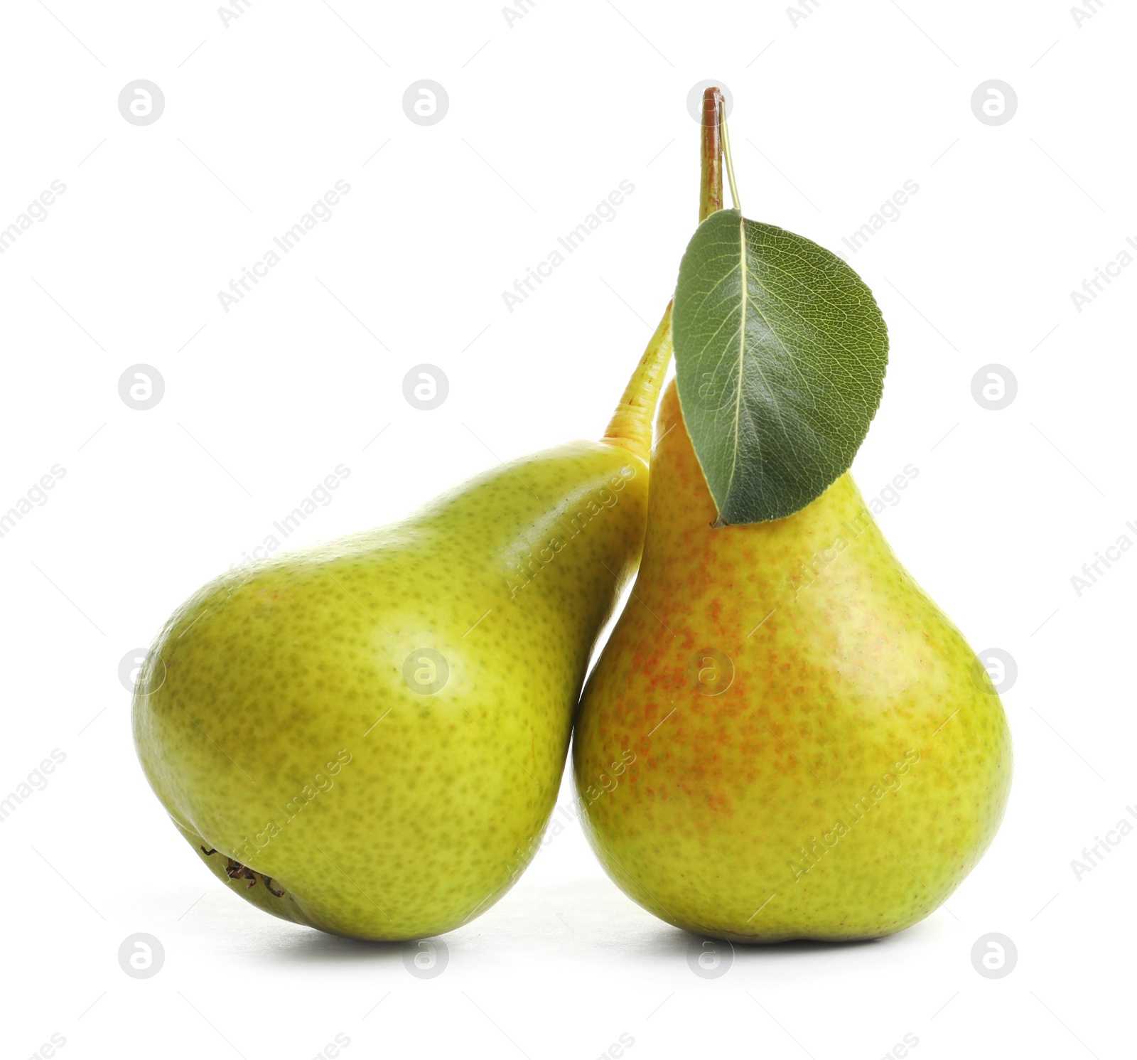 Photo of Whole ripe pears on white background