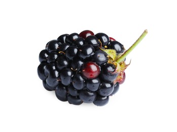 Photo of One tasty ripe blackberry isolated on white