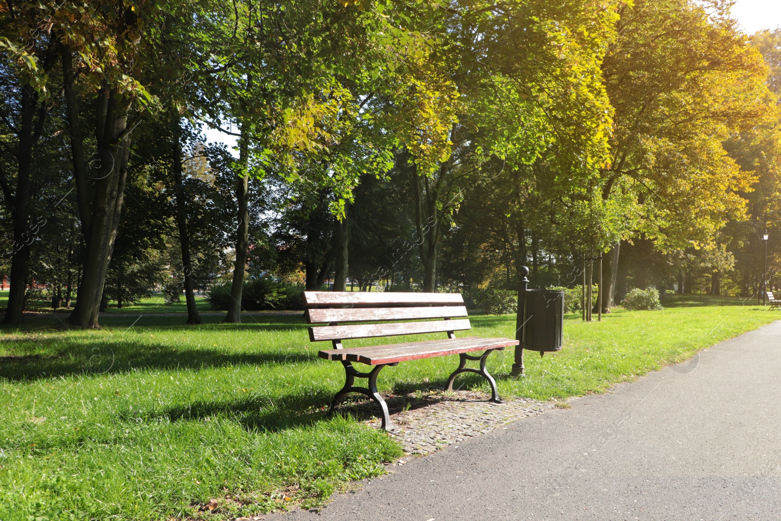 Photo of Beautiful view of public city park with wooden bench on sunny day