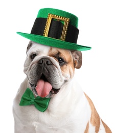 Cute  English bulldog with leprechaun hat and bow tie on white background. St. Patrick's Day