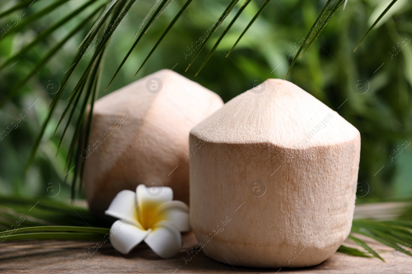 Photo of Young peeled coconuts with palm leaf and flower on wooden table