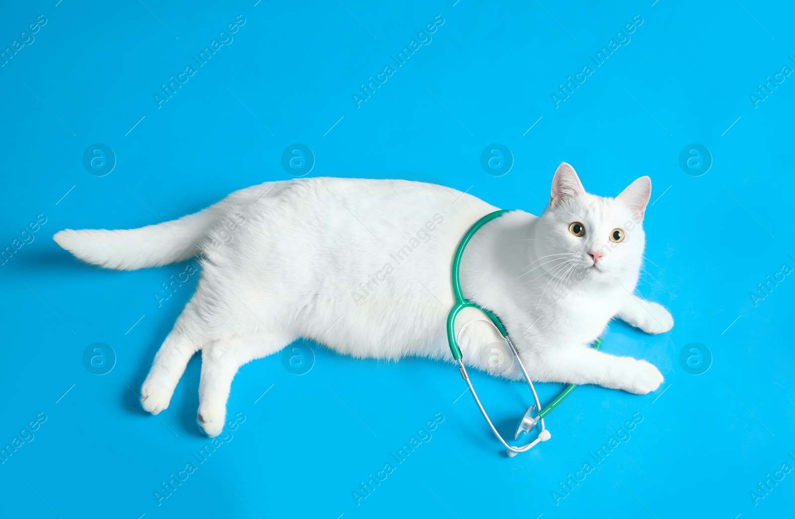 Photo of Cute cat with stethoscope as veterinarian on light blue background, above view