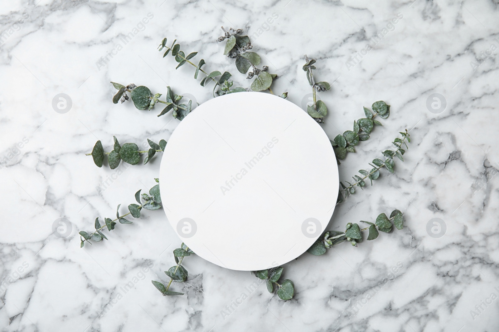 Photo of Fresh eucalyptus leaves and blank card with space for design on marble background, top view