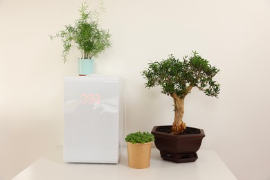 Modern air humidifier and houseplants on white table