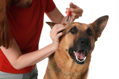 Photo of Woman taking ticks off dog on white background, closeup