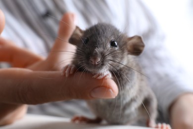 Photo of Woman with cute small rat on sofa, closeup view