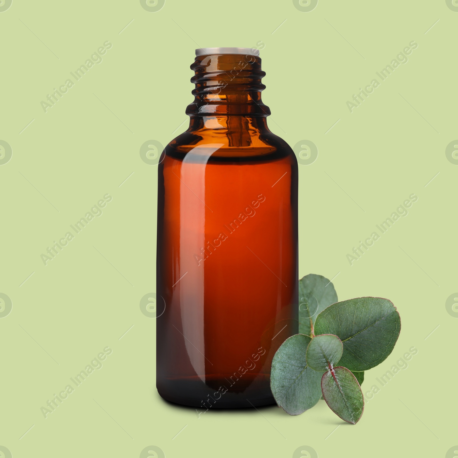 Image of Bottle of eucalyptus essential oil and leaves on light green background