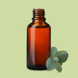 Image of Bottle of eucalyptus essential oil and leaves on light green background