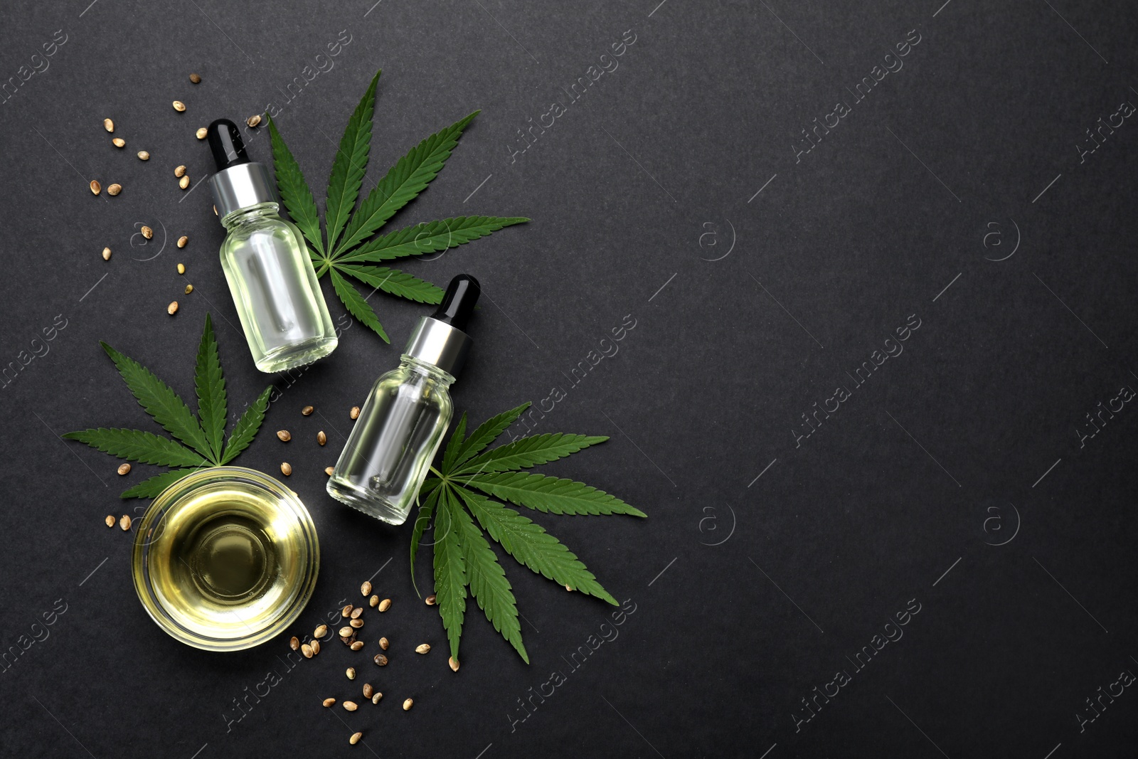 Photo of Flat lay composition with hemp leaves, CBD oil and THC tincture on black background, space for text