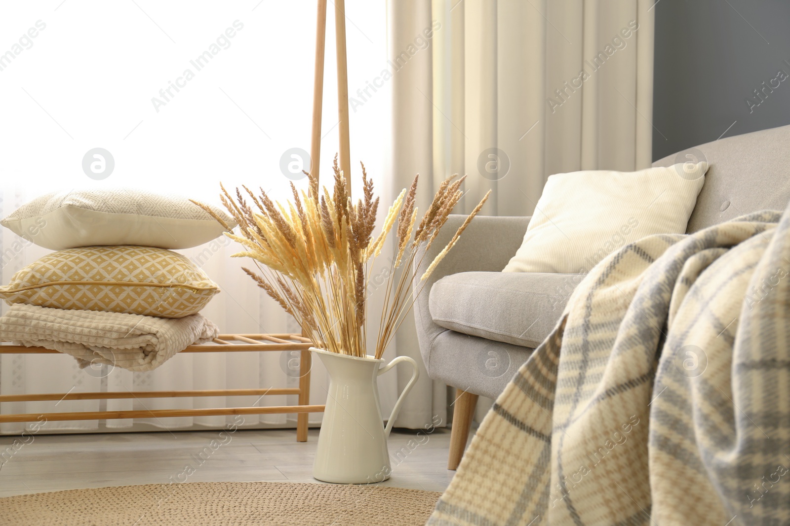 Photo of Vase of dry plants in living room. Interior design