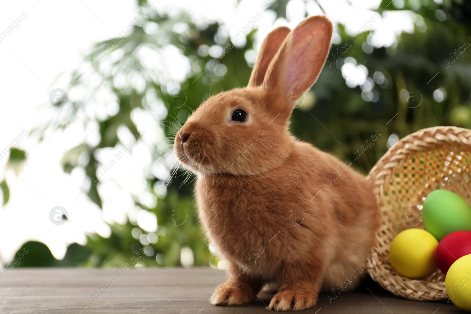 Photo of Cute bunny and basket with Easter eggs on table against blurred background. Space for text