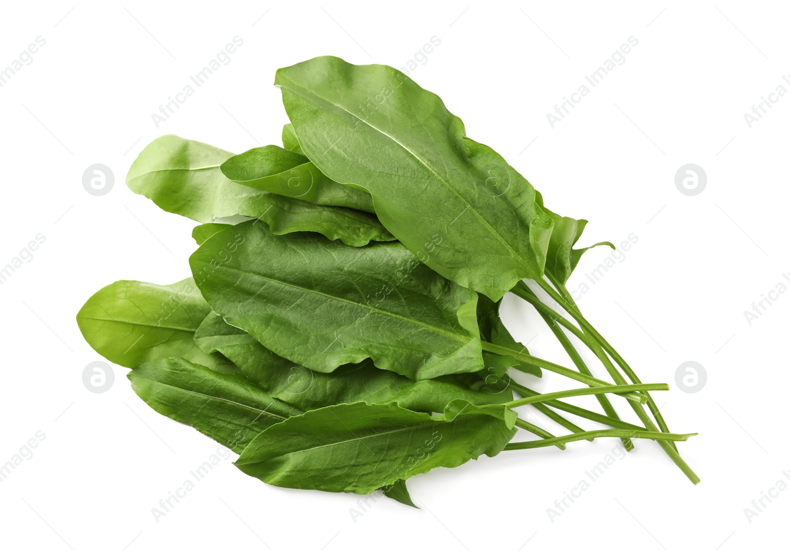 Photo of Bunch of fresh green sorrel leaves on white background, above view