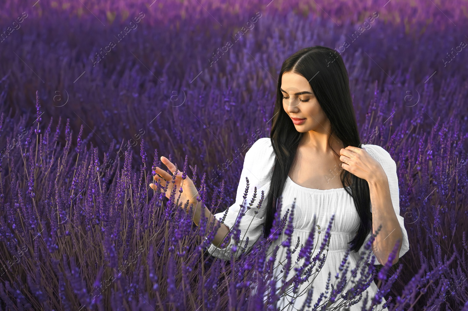 Photo of Portrait of beautiful young woman in lavender field
