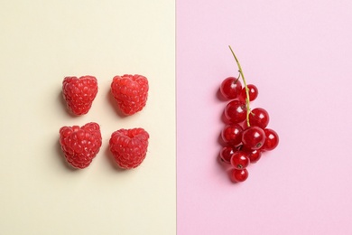 Flat lay composition with raspberries and red currant on color background