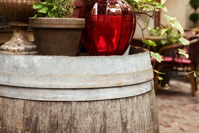 Traditional wooden barrel and different pots with plants outdoors