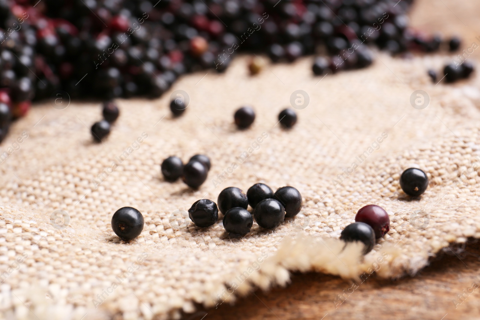 Photo of Tasty elderberries (Sambucus) on sack cloth, closeup