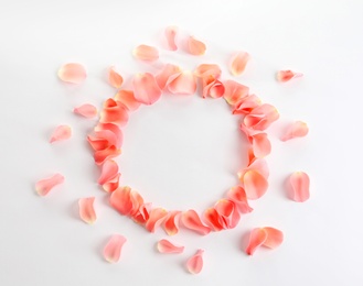 Frame made of fresh rose petals on white background