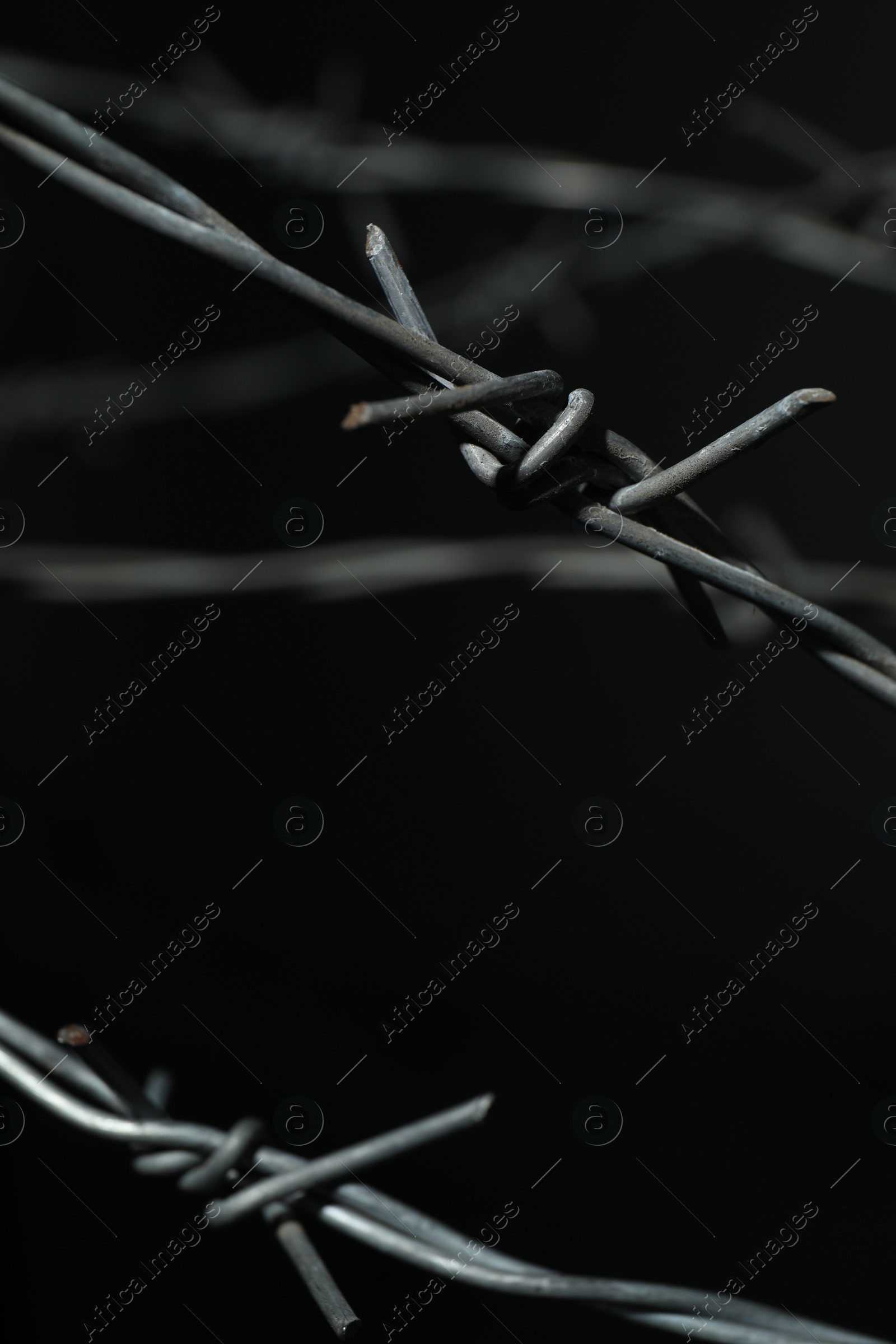 Photo of Shiny metal barbed wire on black background, closeup