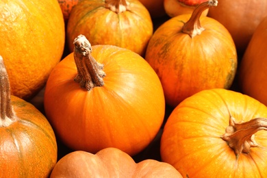Photo of Many fresh raw whole pumpkins as background, closeup. Holiday decoration