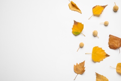 Flat lay composition with autumn leaves and space for text on white background