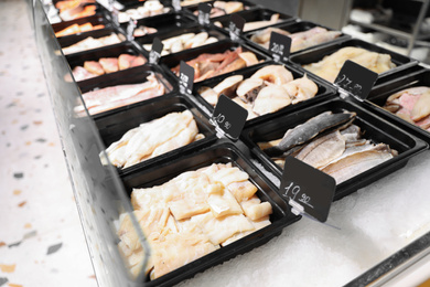 Photo of Different seafood on display, closeup. Wholesale market