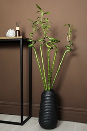 Photo of Vase with green bamboo stems on floor near brown wall indoors. Interior design